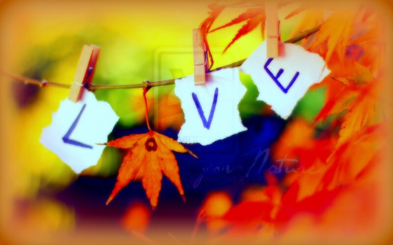 Autumn Leaves on Clothesline — Orange