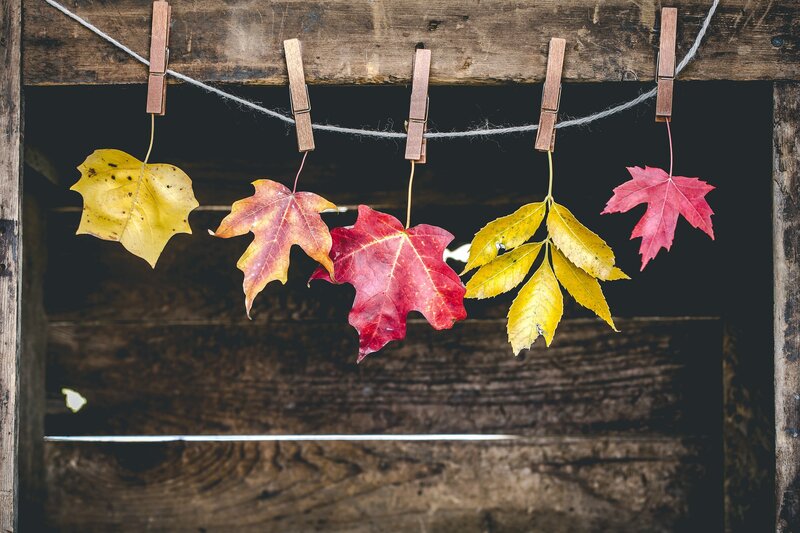 Autumn Leaves on Clothesline — Red
