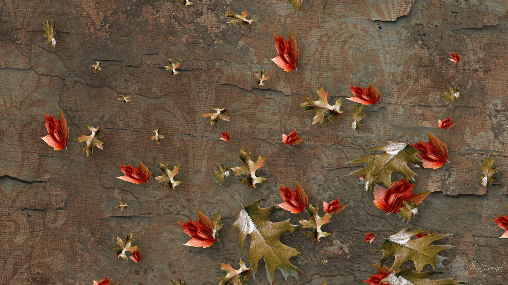 Autumn leaves on cracked surface