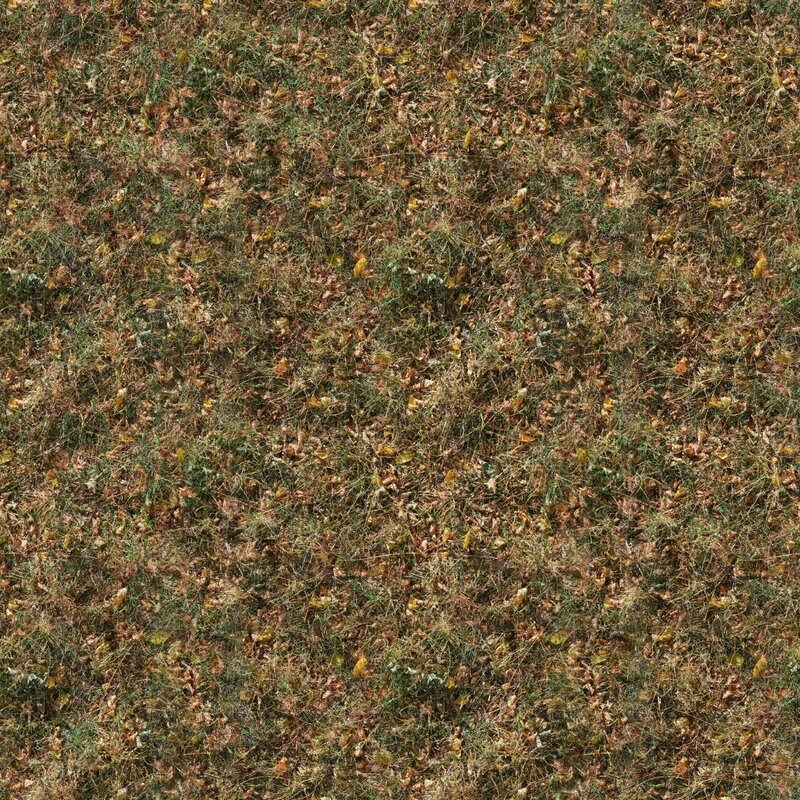 autumn leaves on grass
