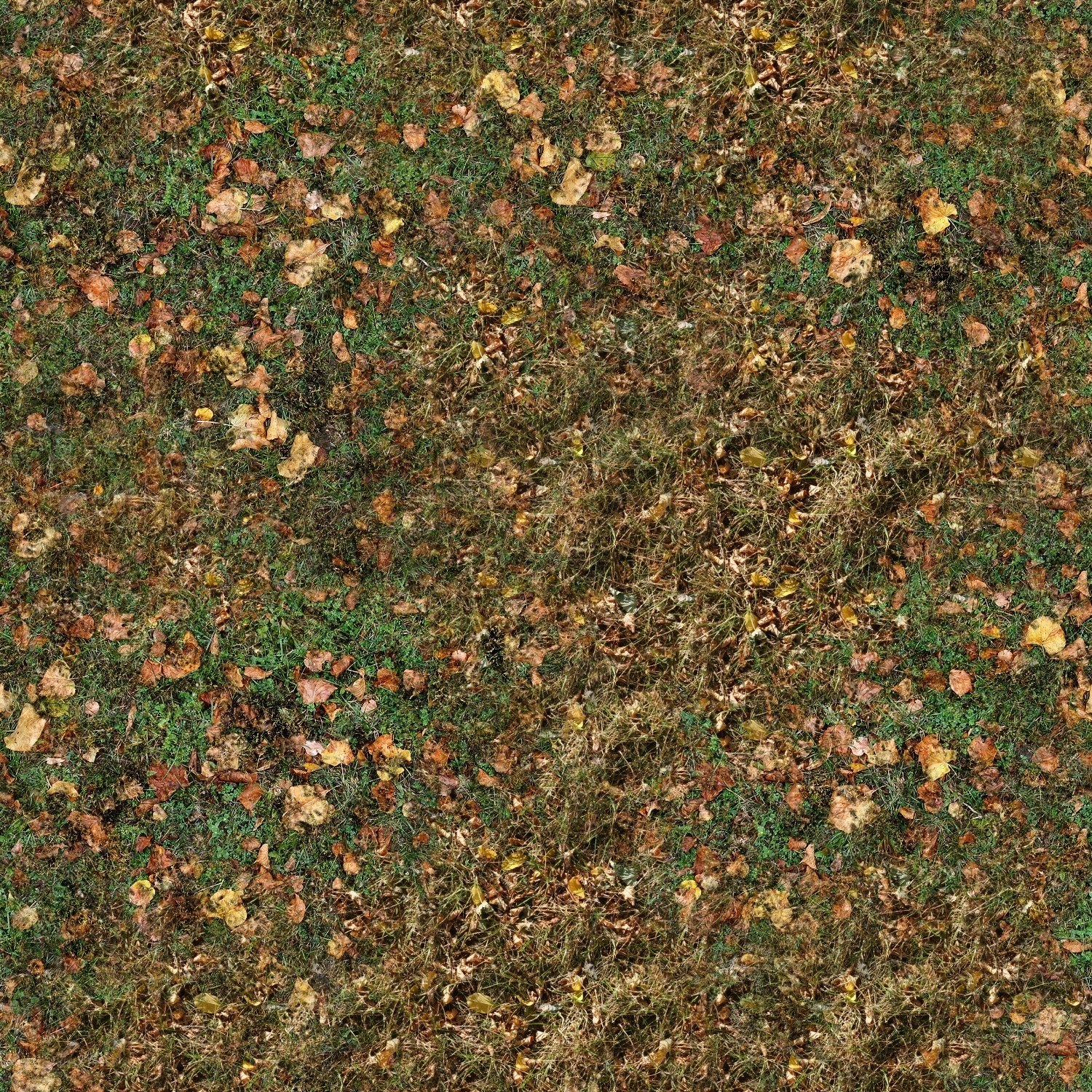 autumn leaves on grass