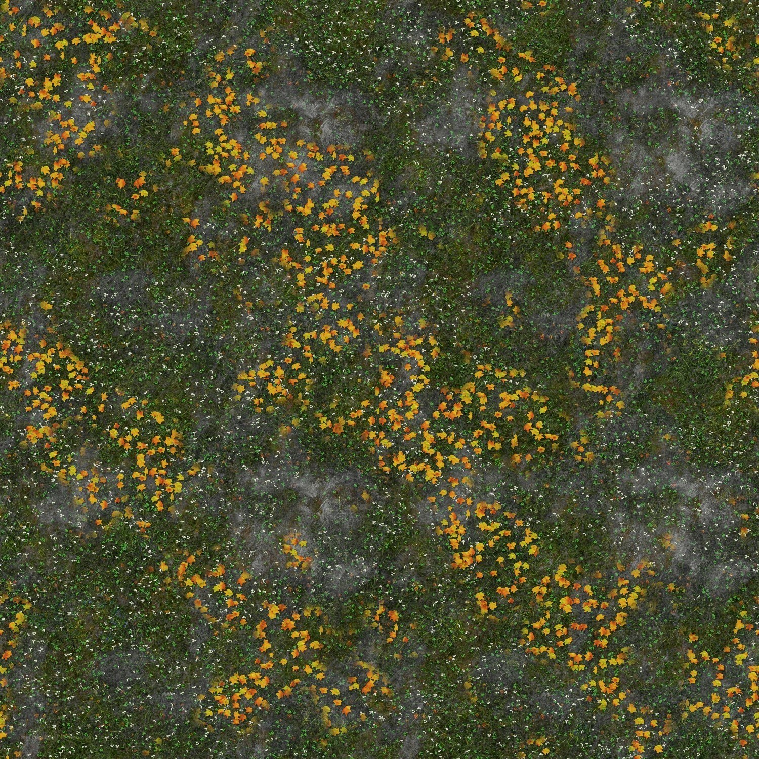 autumn leaves on grass