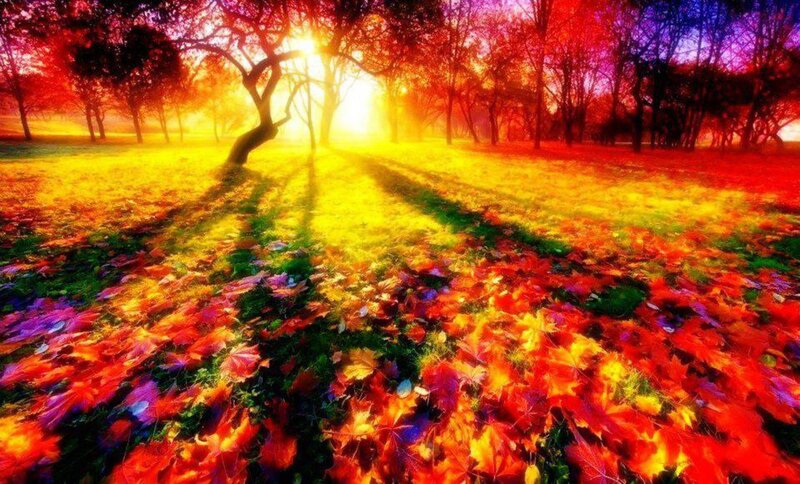 Autumn Leaves on Grass — Red, Dramatic