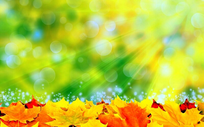 Autumn Leaves on Green Background