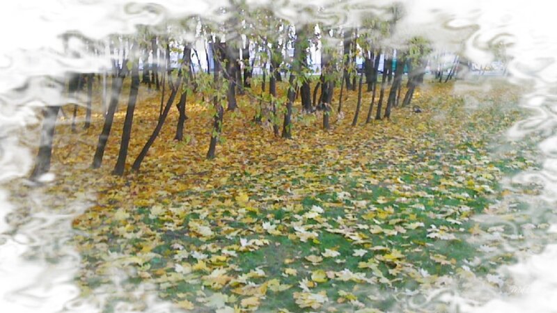 Autumn Leaves on Ground — Green, Calm