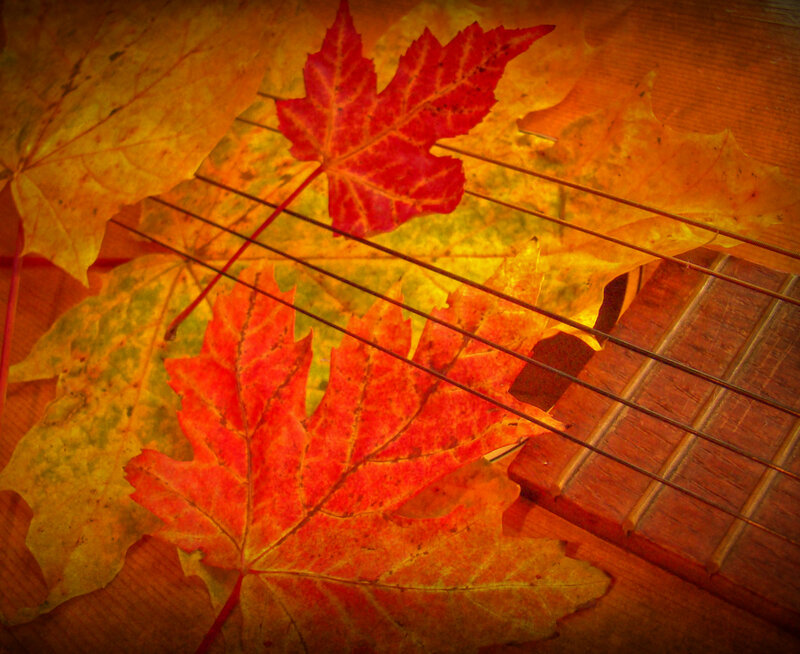 Autumn Leaves on Guitar