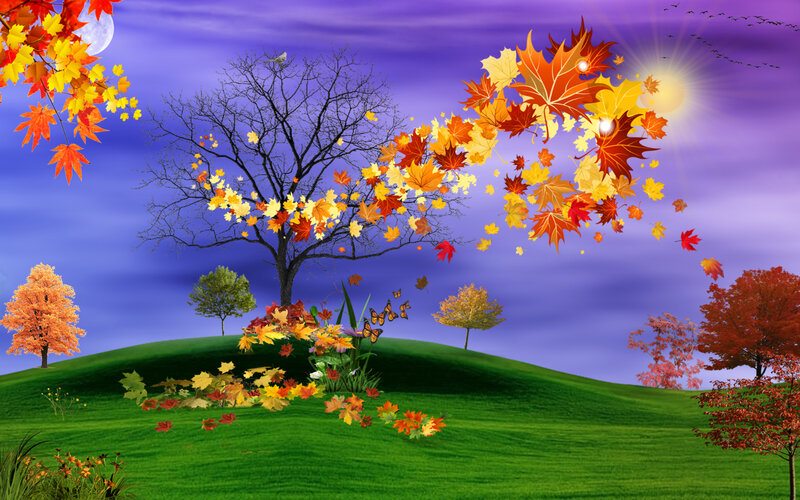 Autumn Leaves on Hill