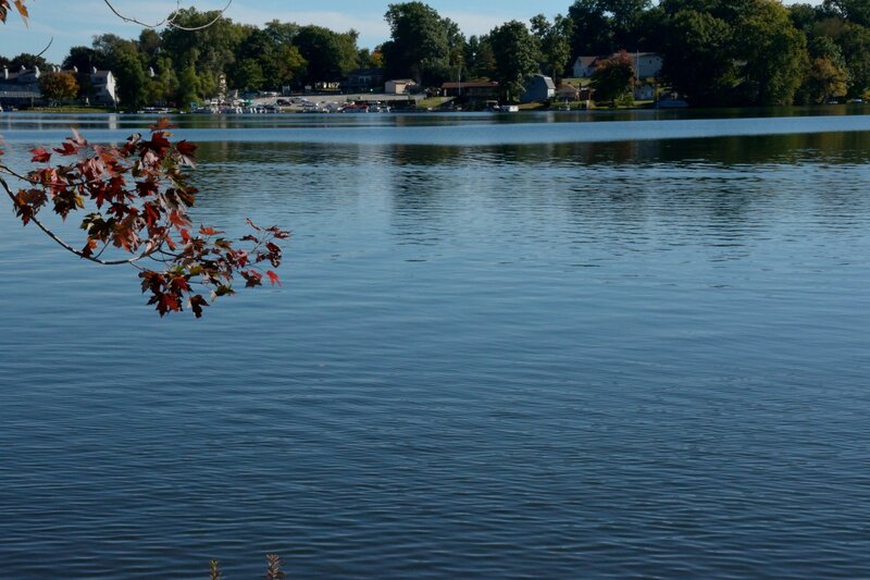 Autumn Leaves on Lake — Blue