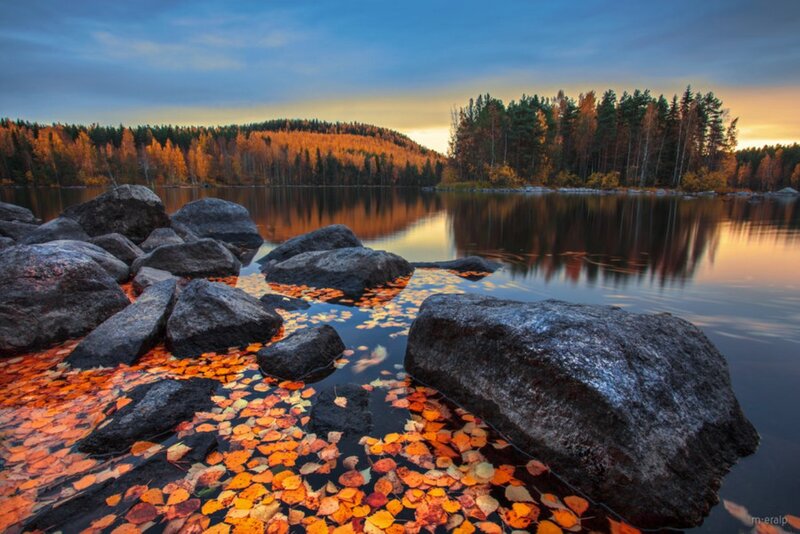 Autumn Leaves on Lake — Orange