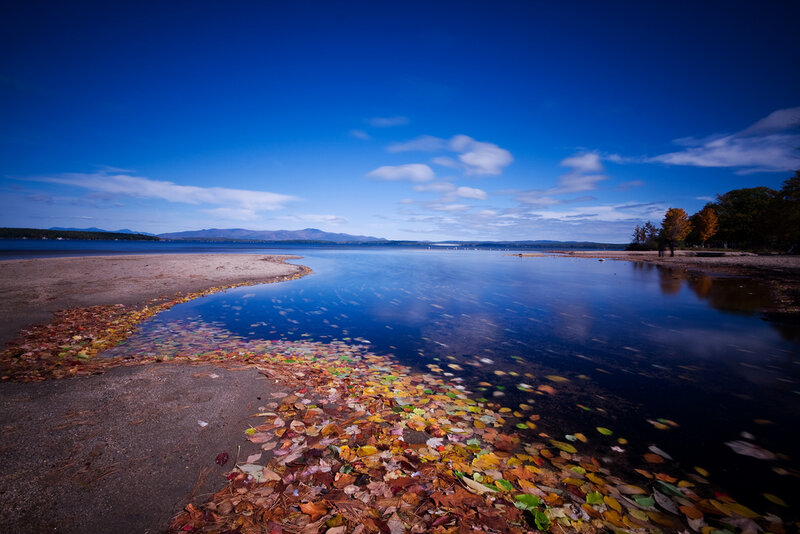 Autumn Leaves on Lake Shore