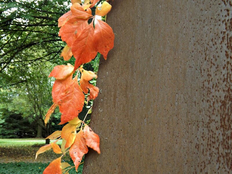 Autumn Leaves on Metal