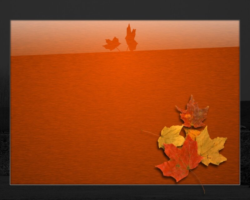 autumn leaves on orange background