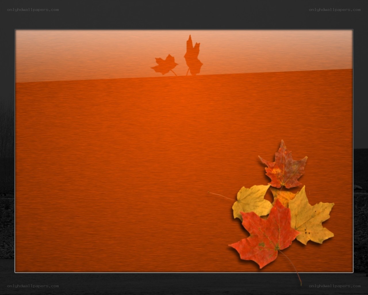 autumn leaves on orange background