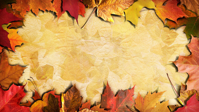 Autumn Leaves on Paper