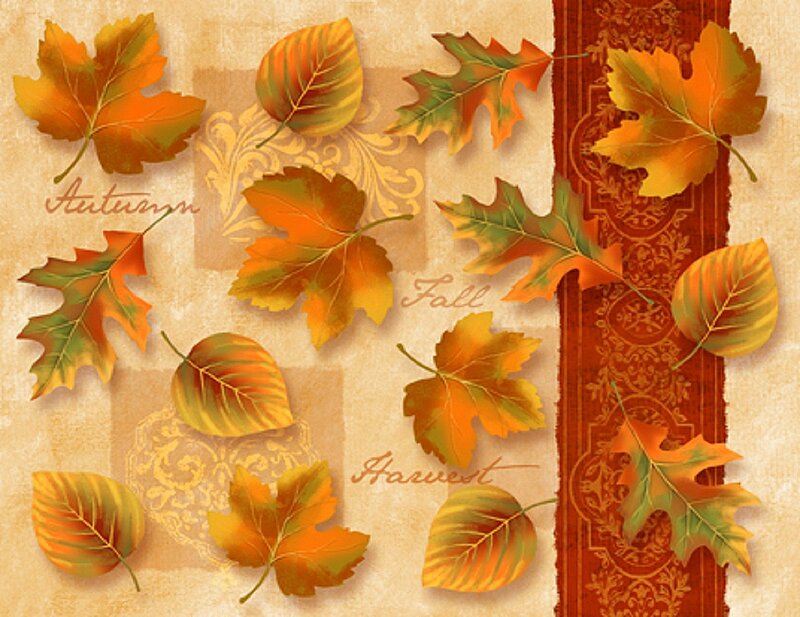 Autumn Leaves on Patterned Background — Orange