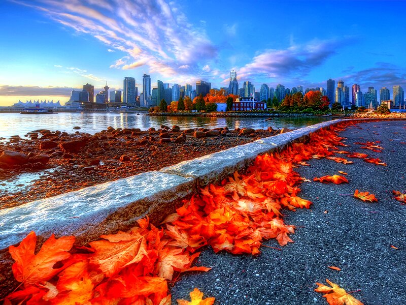 Autumn Leaves on Pavement — Orange