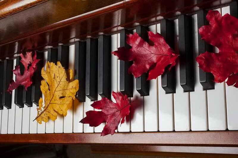 Autumn Leaves on Piano Keys