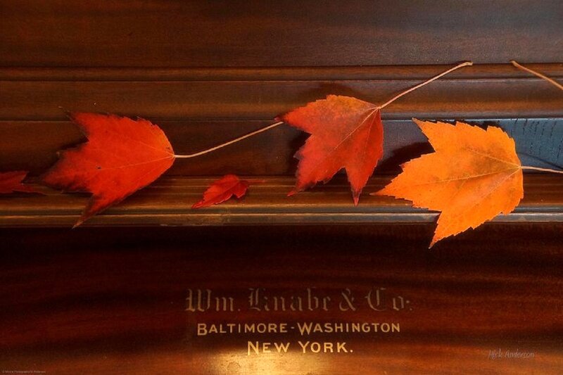 Autumn Leaves on Piano — Red
