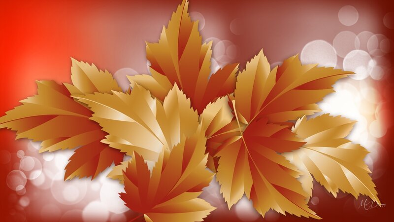 Autumn Leaves on Red Background — Warm