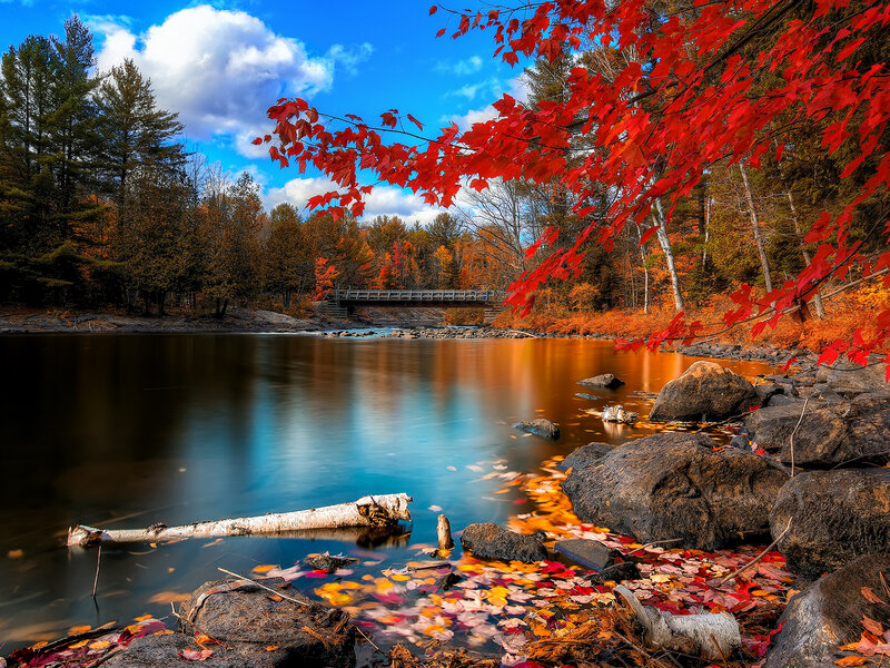Autumn Leaves on River — Red, Serene, Photograph