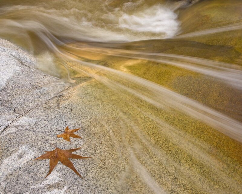 Autumn Leaves on Rock
