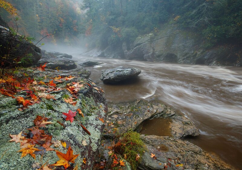 Autumn Leaves on Rocks — Brown