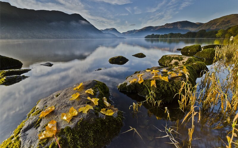Autumn Leaves on Rocks — Green, Serene, Photograph, Lake