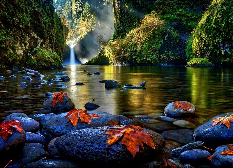 Autumn Leaves on Rocks — Green, Serene, Photograph
