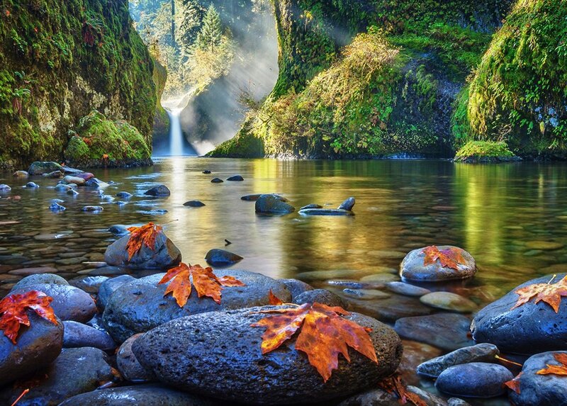 Autumn Leaves on Rocks — Green, Serene
