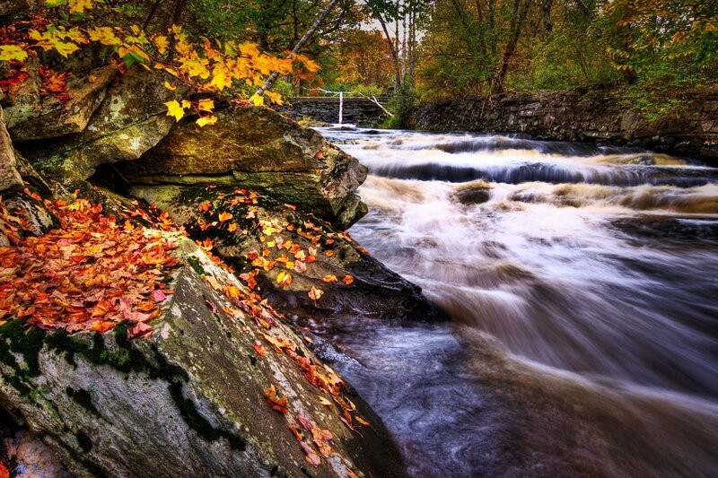 Autumn Leaves on Rocks — Orange