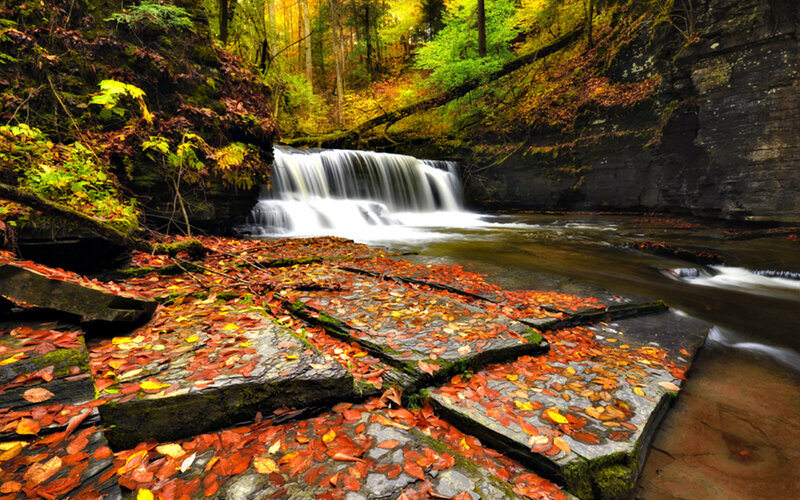Autumn Leaves on Rocks — Red, Serene