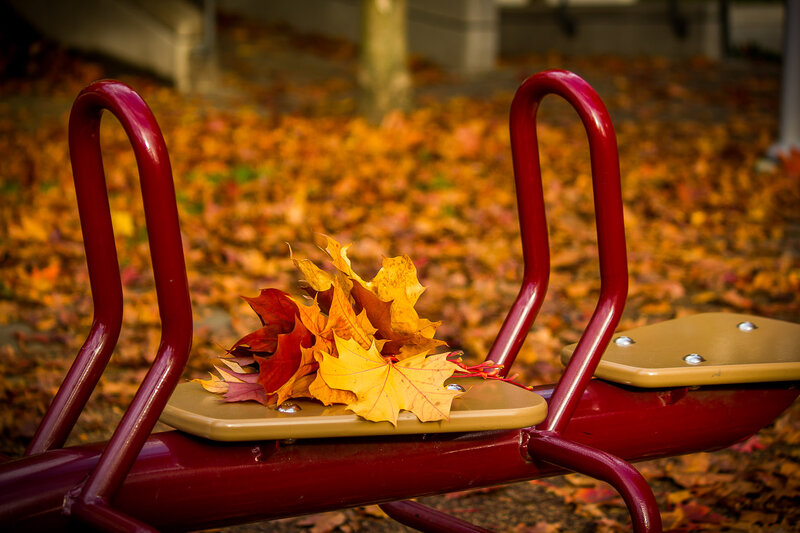 Autumn Leaves on Seesaw
