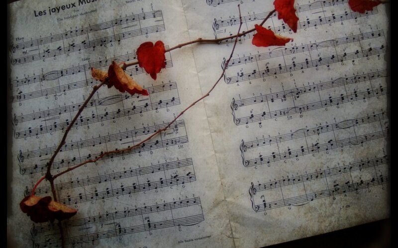 Autumn leaves on sheet music