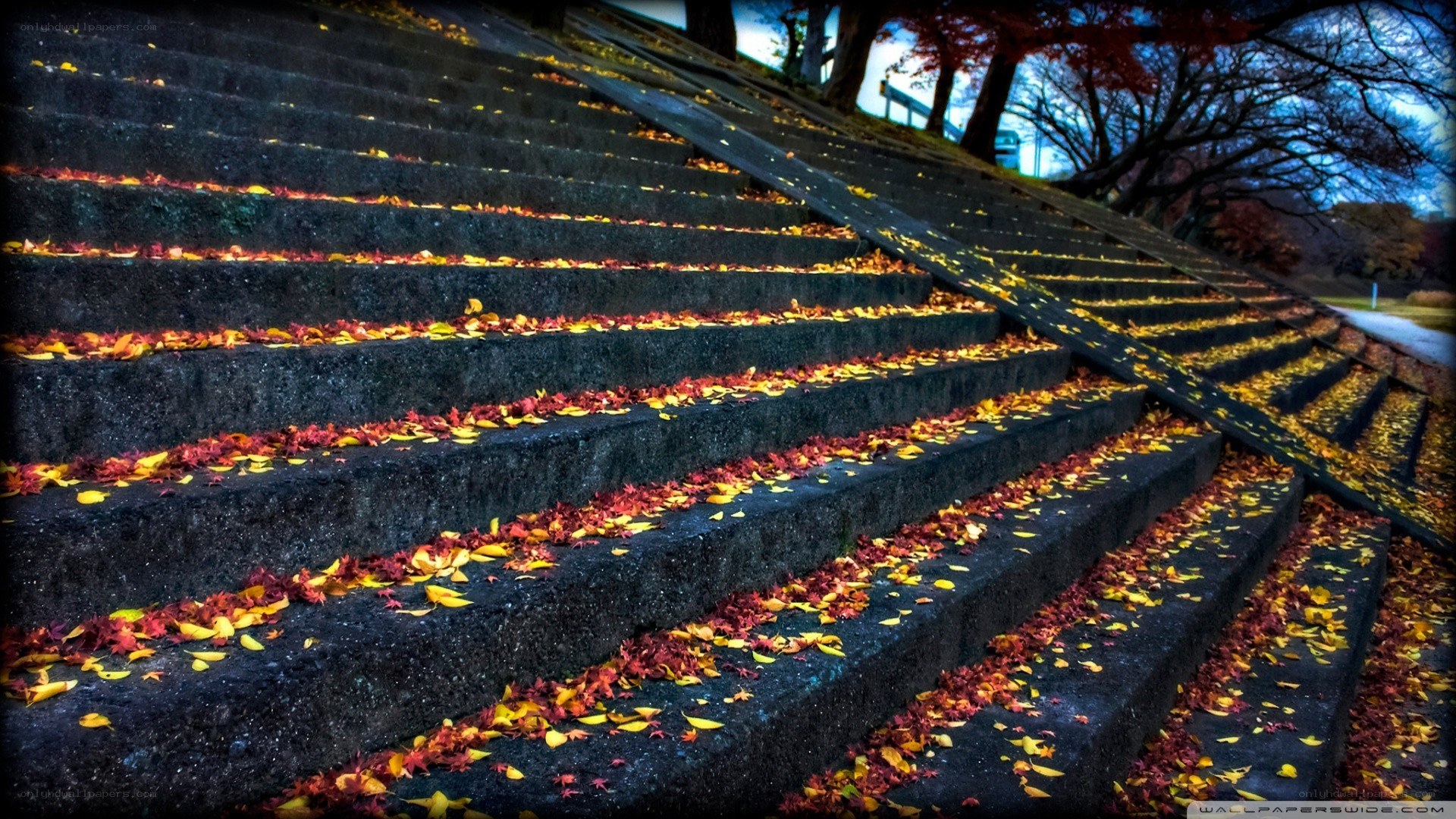 Autumn leaves on stone stairs