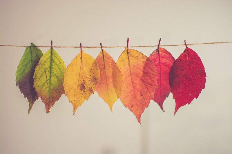 Autumn Leaves on String — Red, Calm