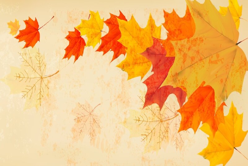 Autumn Leaves on Textured Background — Orange, Calm
