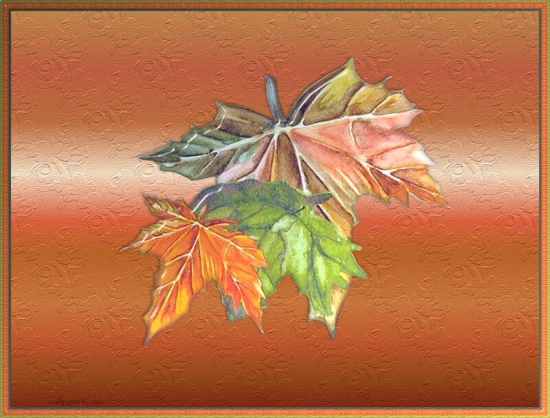 Autumn Leaves on Textured Background — Orange