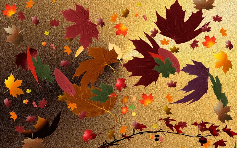 Autumn Leaves on Textured Background