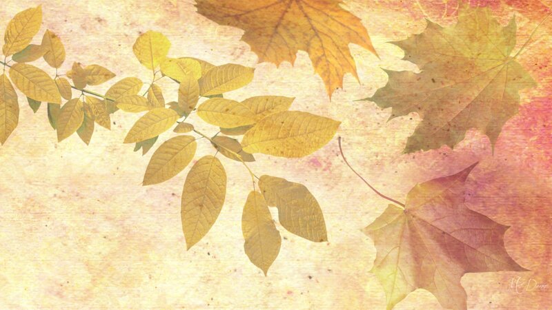 Autumn Leaves on Textured Background — Yellow, Calm