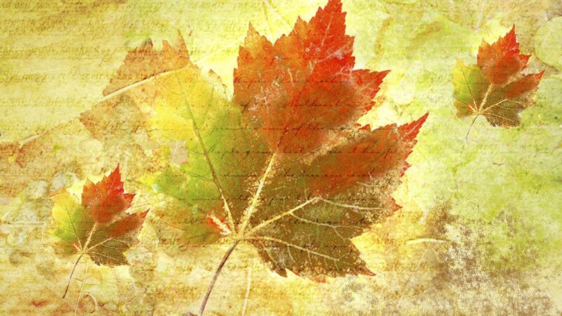 Autumn Leaves on Textured Paper — Red