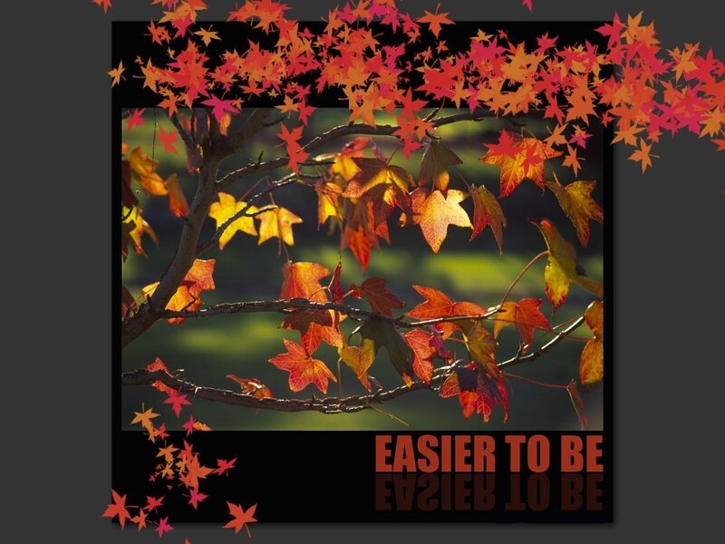 Autumn Leaves on Tree — Red, Serene, Photograph, Branches, Text