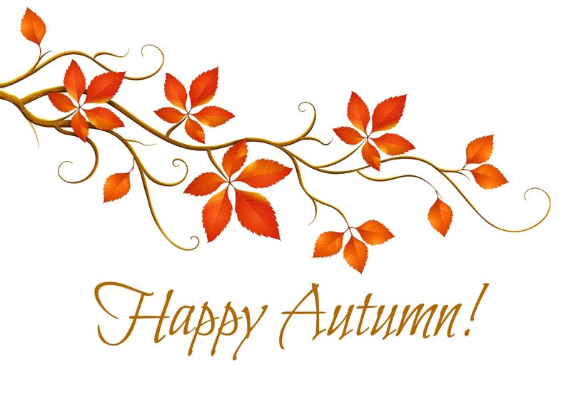 Autumn Leaves on Vine — Orange, Festive