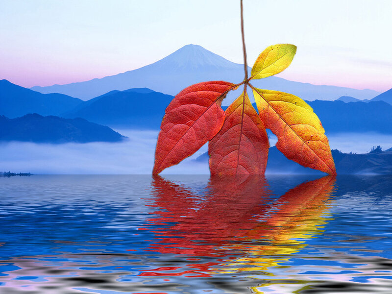 Autumn Leaves on Water — Red