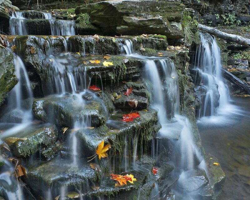 Autumn Leaves on Waterfall — Green