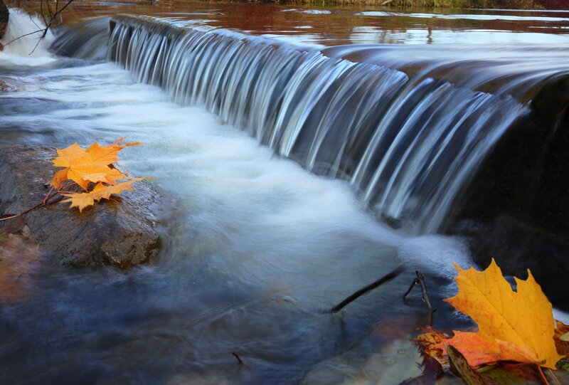 Autumn Leaves on Waterfall — Yellow