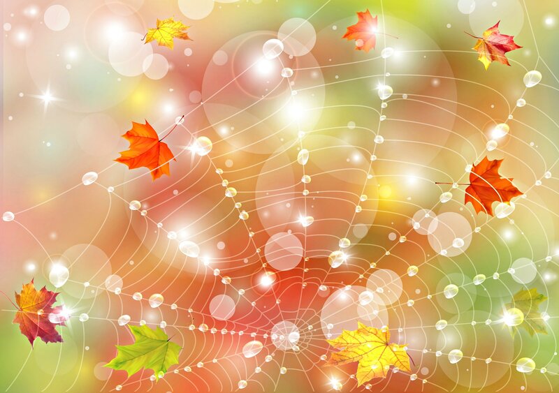 Autumn Leaves on Web — Orange