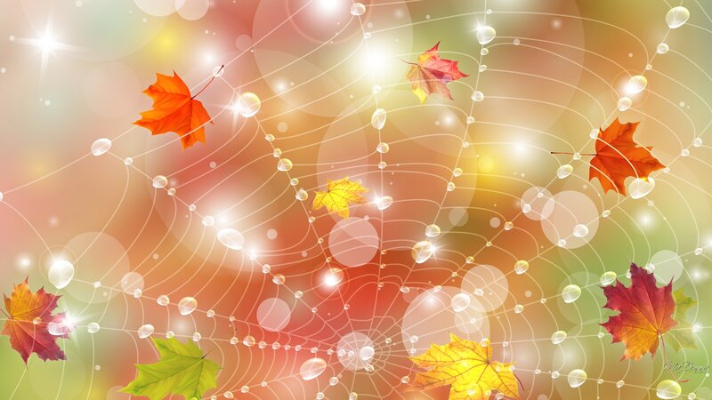 Autumn Leaves on Web