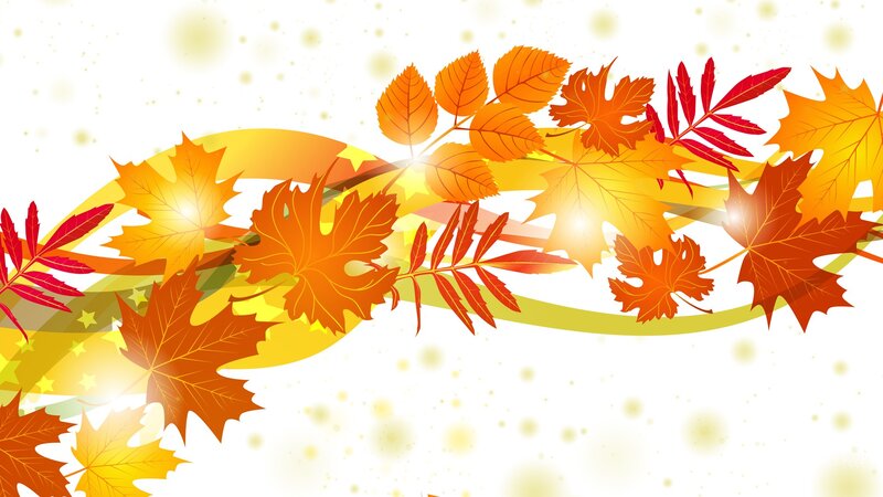 Autumn Leaves on White — Orange