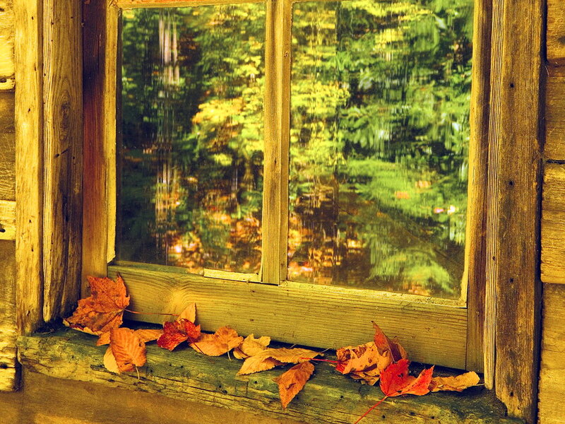 Autumn Leaves on Windowsill
