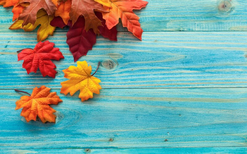 Autumn Leaves on Wood — Blue, Calm, Photograph
